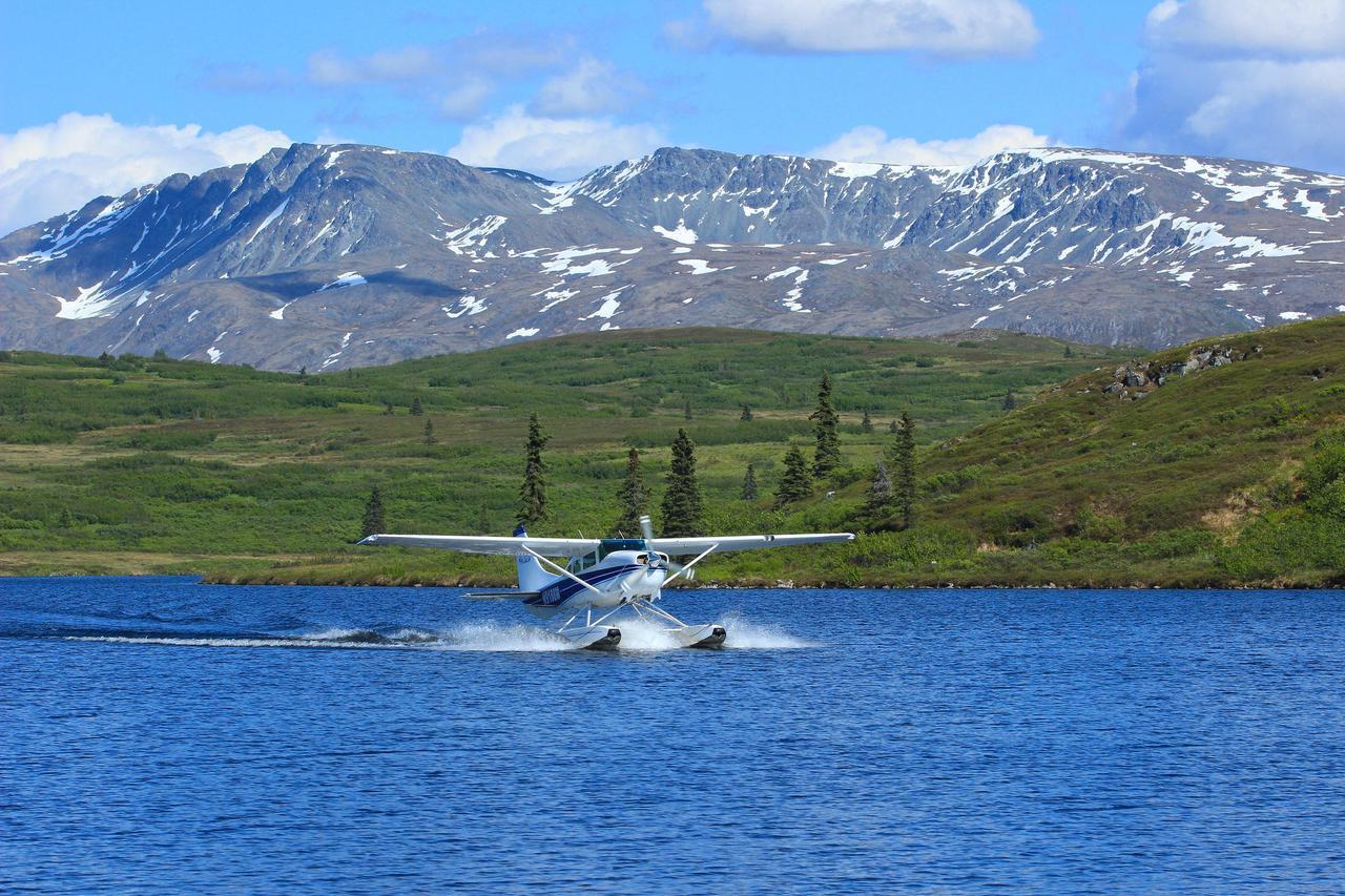 Caribou Lodge Alaska Talkeetna Eksteriør billede
