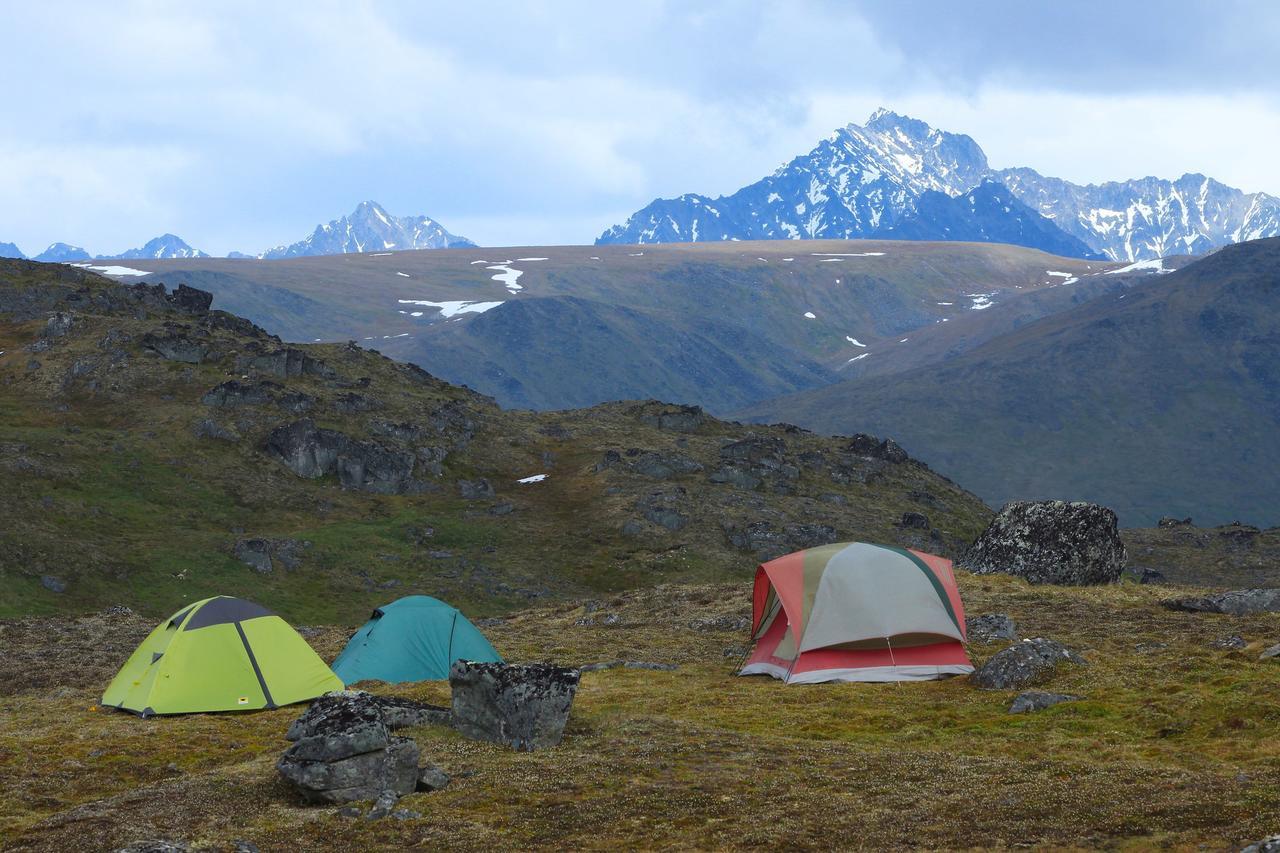 Caribou Lodge Alaska Talkeetna Eksteriør billede