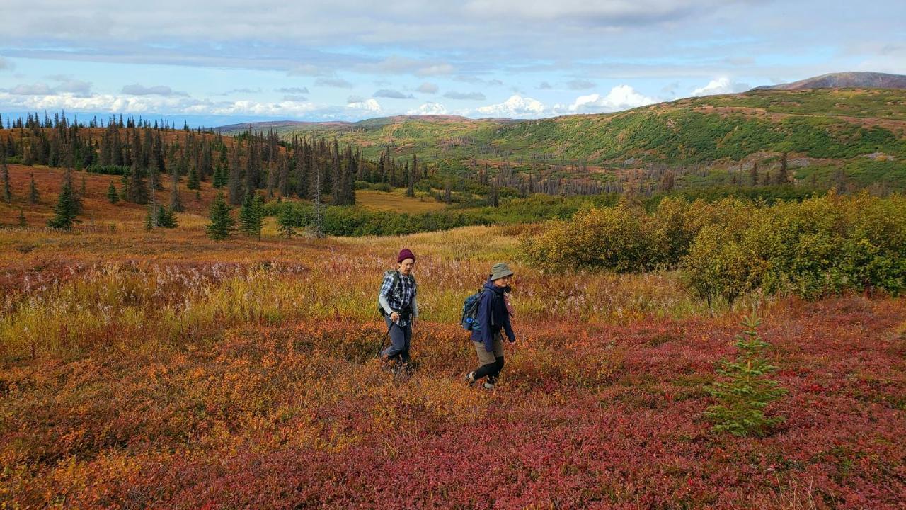 Caribou Lodge Alaska Talkeetna Eksteriør billede