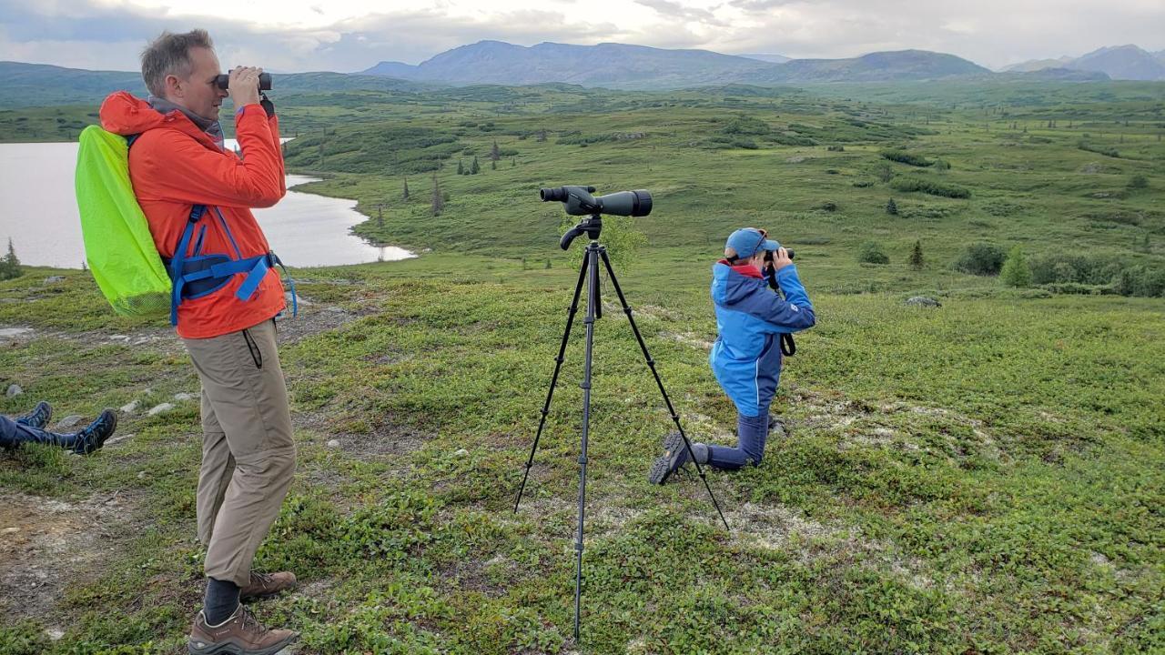 Caribou Lodge Alaska Talkeetna Eksteriør billede