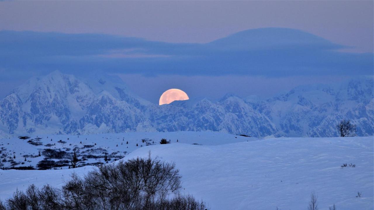 Caribou Lodge Alaska Talkeetna Eksteriør billede