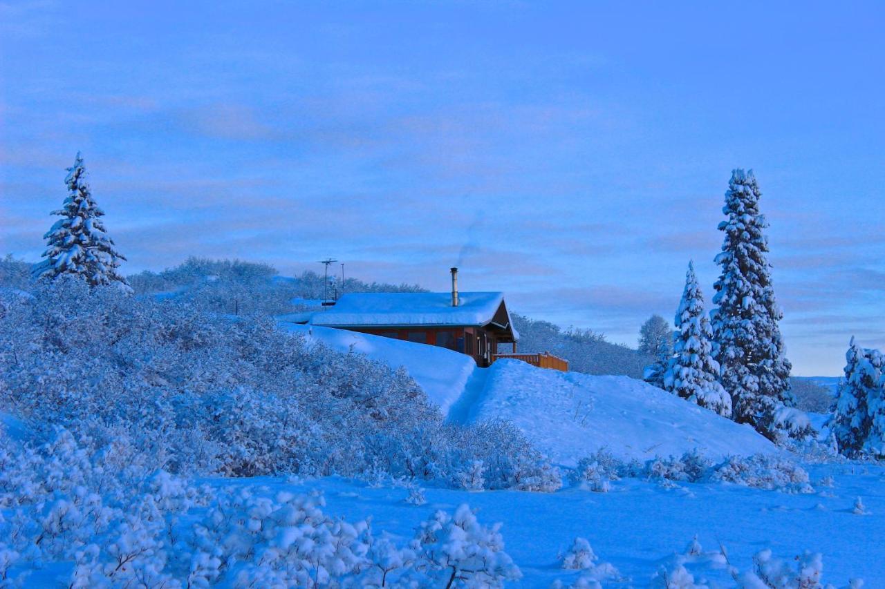 Caribou Lodge Alaska Talkeetna Eksteriør billede